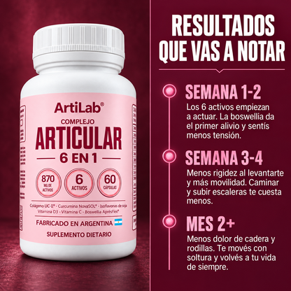 ArtiLab